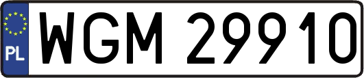 WGM29910