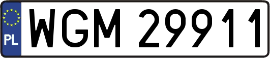 WGM29911