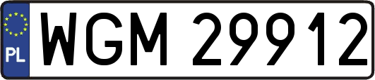 WGM29912
