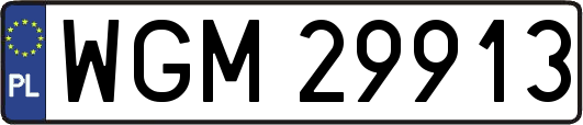 WGM29913
