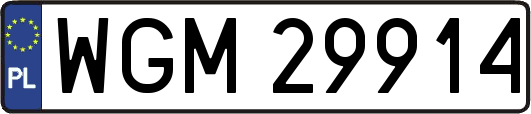 WGM29914