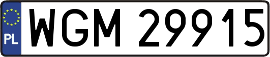 WGM29915