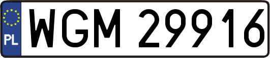 WGM29916