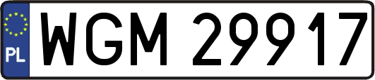 WGM29917
