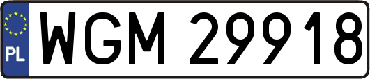 WGM29918