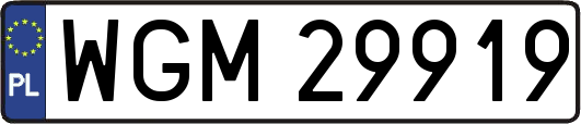 WGM29919