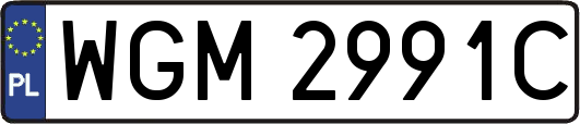 WGM2991C