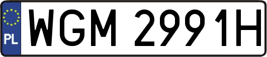 WGM2991H