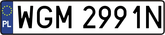 WGM2991N