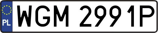 WGM2991P