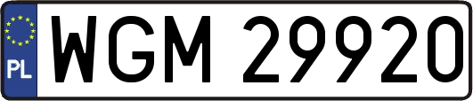 WGM29920