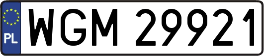 WGM29921