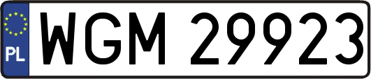 WGM29923