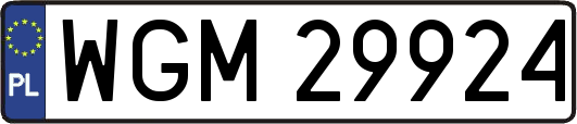 WGM29924