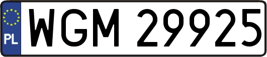 WGM29925