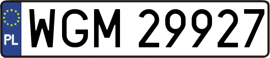 WGM29927