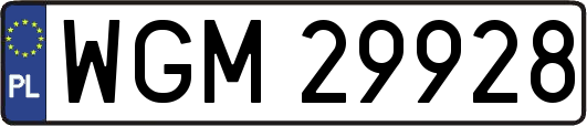 WGM29928