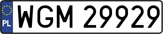 WGM29929