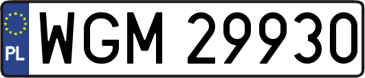 WGM29930