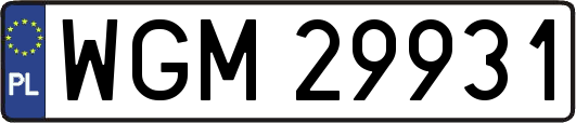 WGM29931