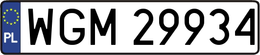 WGM29934