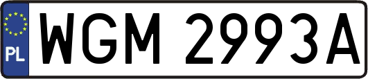 WGM2993A