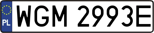 WGM2993E