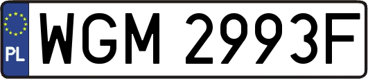 WGM2993F