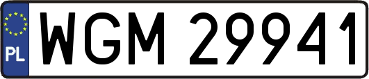 WGM29941