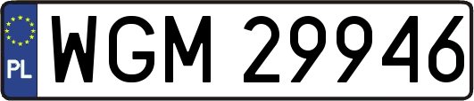 WGM29946