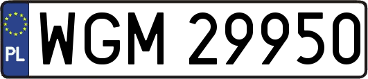 WGM29950