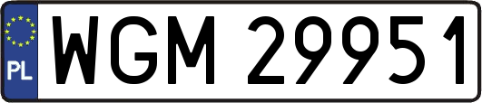 WGM29951