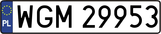 WGM29953