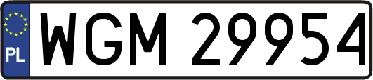 WGM29954