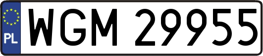 WGM29955