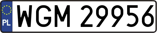 WGM29956