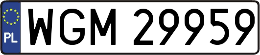 WGM29959