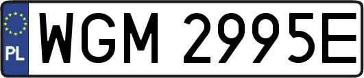 WGM2995E