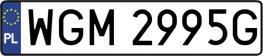 WGM2995G