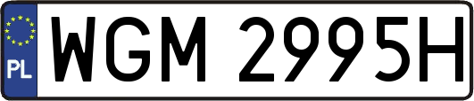 WGM2995H