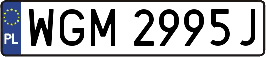 WGM2995J