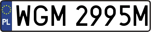 WGM2995M