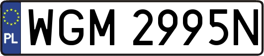 WGM2995N