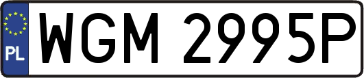 WGM2995P