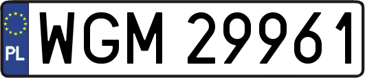WGM29961