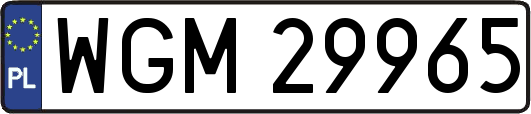 WGM29965