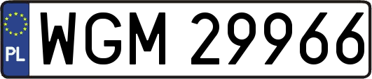WGM29966