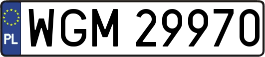 WGM29970