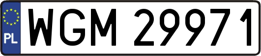 WGM29971
