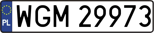 WGM29973
